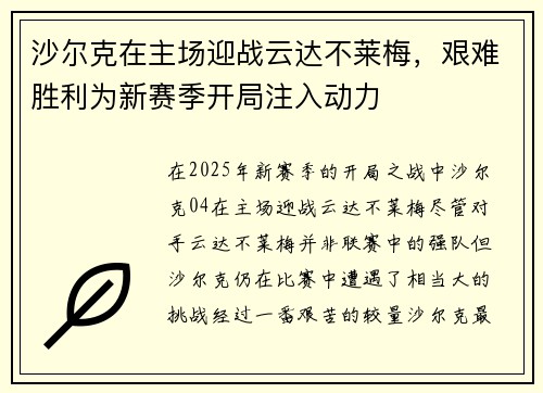 沙尔克在主场迎战云达不莱梅,艰难胜利为新赛季开局注入动力 沙尔克在主场迎战云达不莱梅,艰难胜利为新赛季开局注入动力